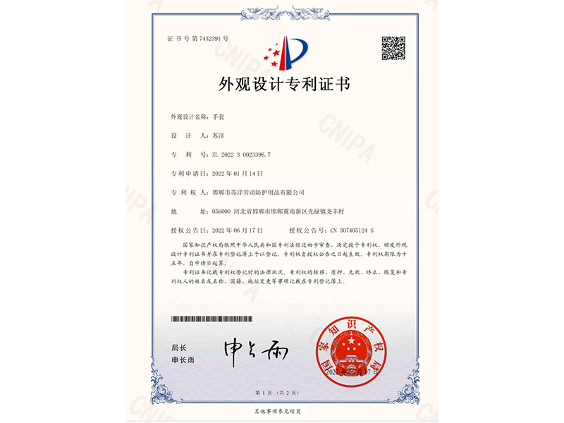 外观设计专利证书-手套